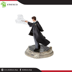 Enesco: Wizarding World Of Harry Potter - Tom Riddle - Sheldonet Toy Store