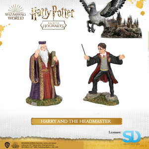 Enesco : Wizarding World - Harry and The Headmaster - Sheldonet Toy Store