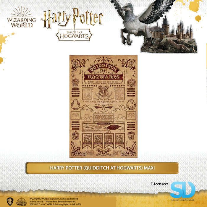 Pyramid International: Harry Potter (Quidditch At Hogwarts) Maxi Poster
