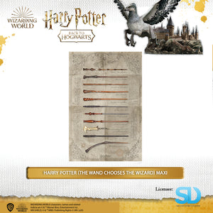 Pyramid International: Harry Potter (The Wand Chooses The Wizard) Maxi Poster